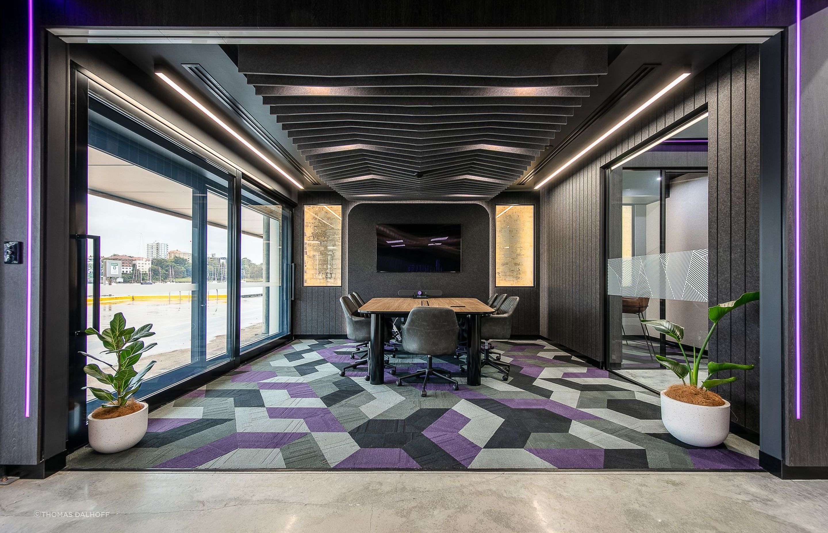 Illuvium | Platypus, North Sydney