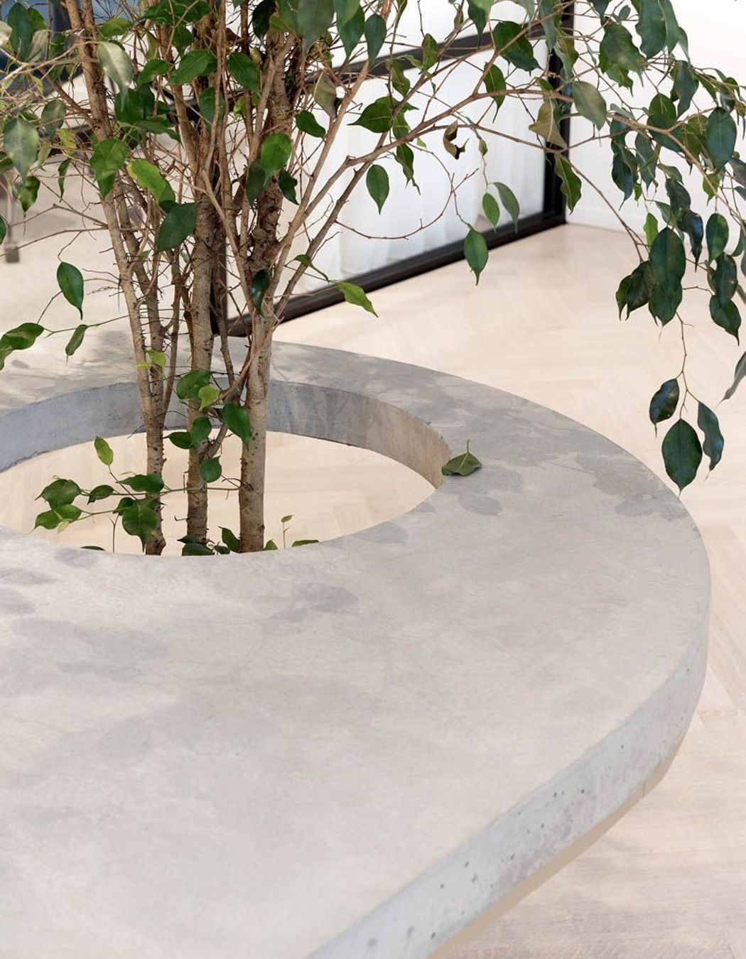 Maximus – Melbourne