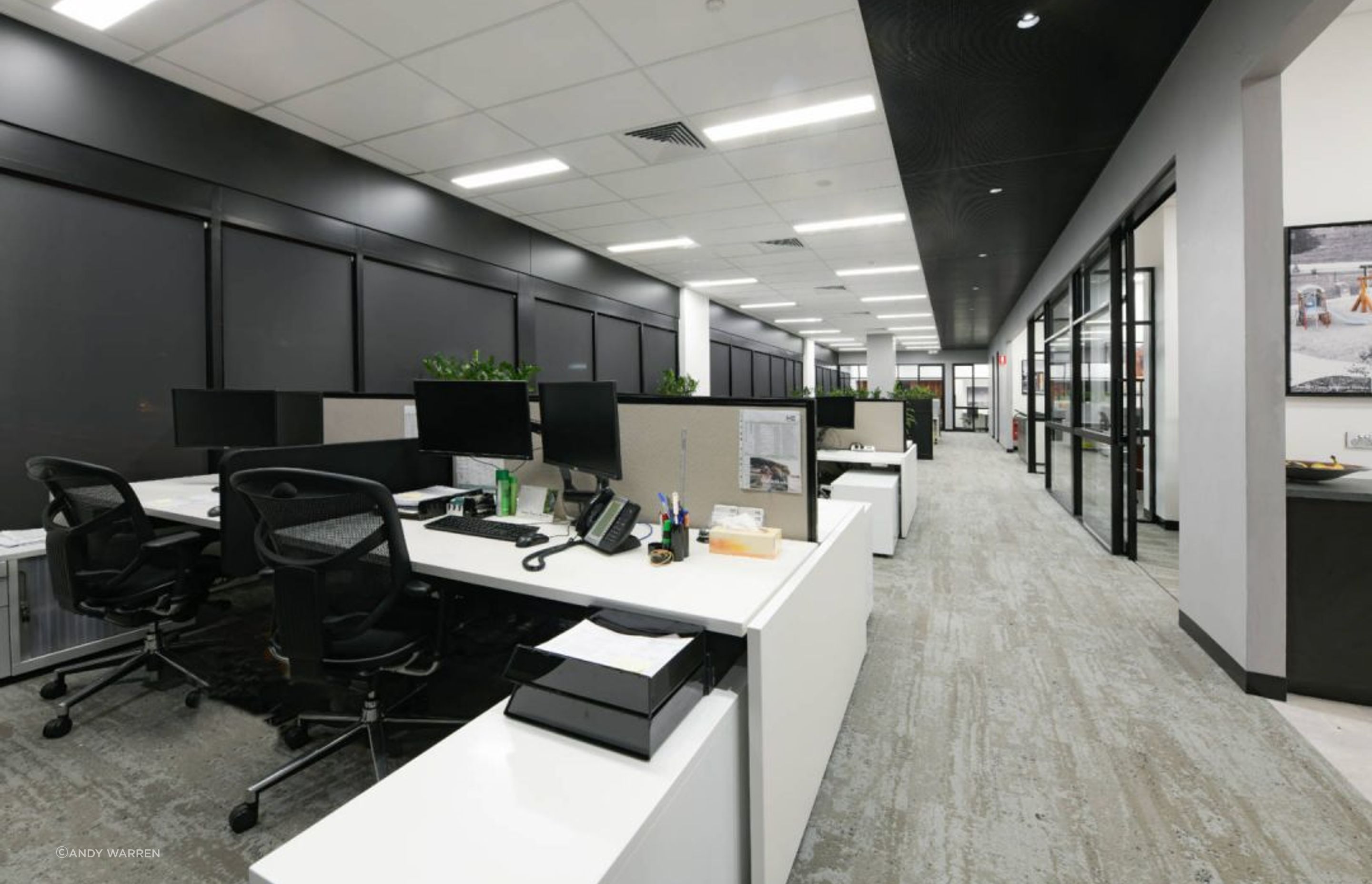 Mccloy Group Workplace