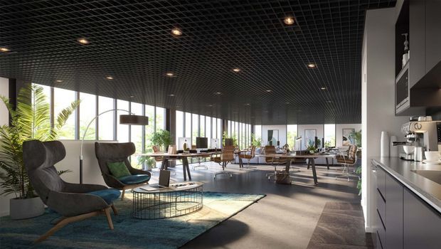 A spacious, open-plan contemporary living and dining area with floor-to-ceiling glazing, a dark suspended grid ceiling, and a compact kitchen along the right wall. The room includes sculptural lounge chairs, a glass coffee table, a large rug, a long dining or work table, and abundant indoor planting. Daylight fills the space, creating a refined yet relaxed atmosphere.