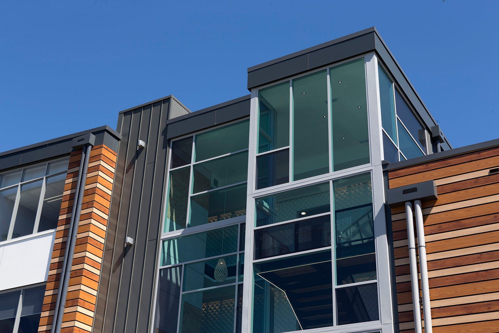 Napier Cosmopolitan Club