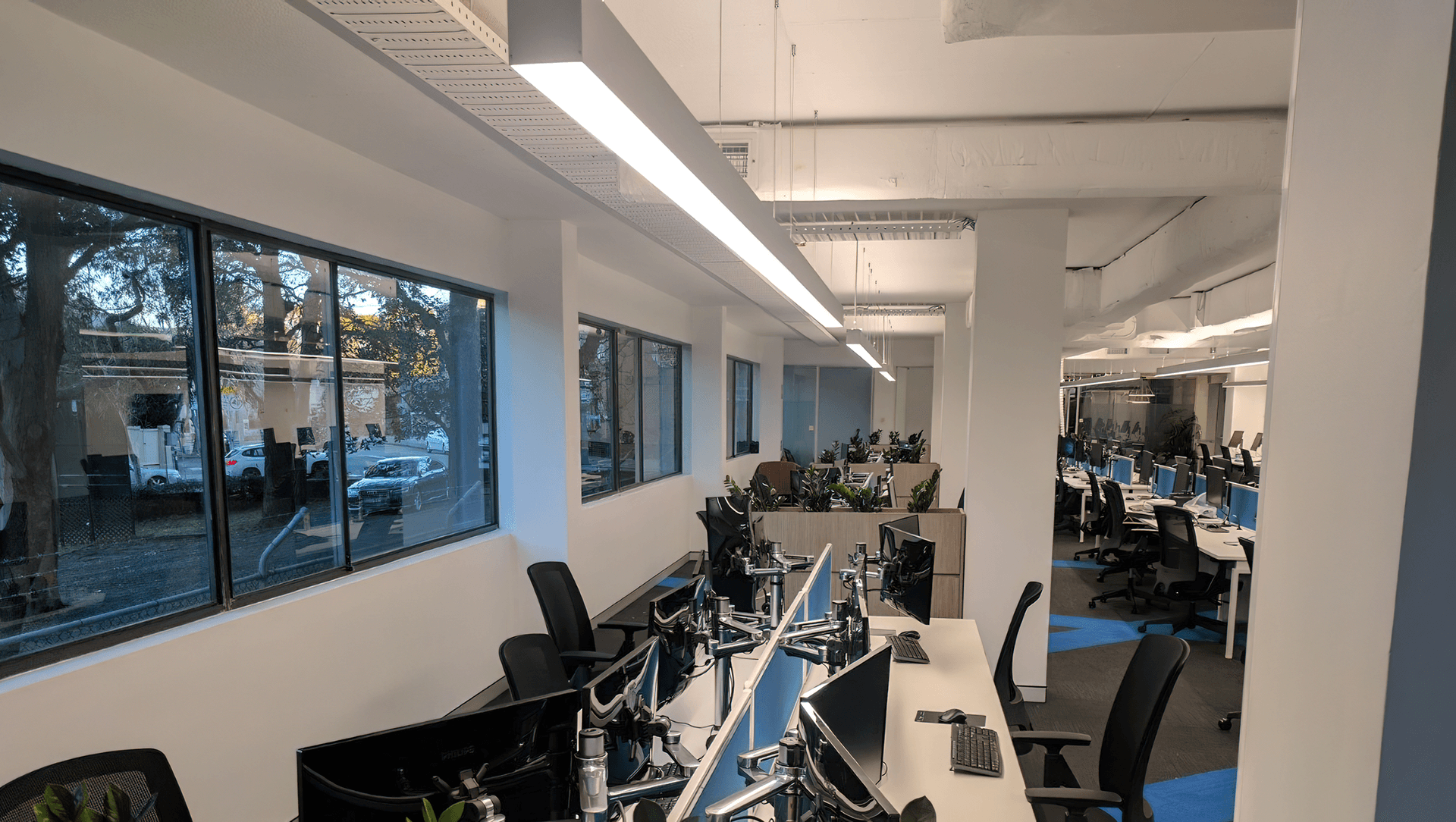 Jensen Group Offices, North Sydney banner