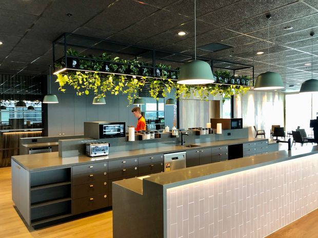 A contemporary commercial hospitality or workplace kitchen and serving area with a long central island, dark built-in cabinetry, stainless-steel appliances, pale tiled counter frontage, pendant lighting, timber flooring, and a suspended black metal planter structure with trailing greenery. Tables and chairs are visible in the background, reinforcing the commercial café or communal dining setting.