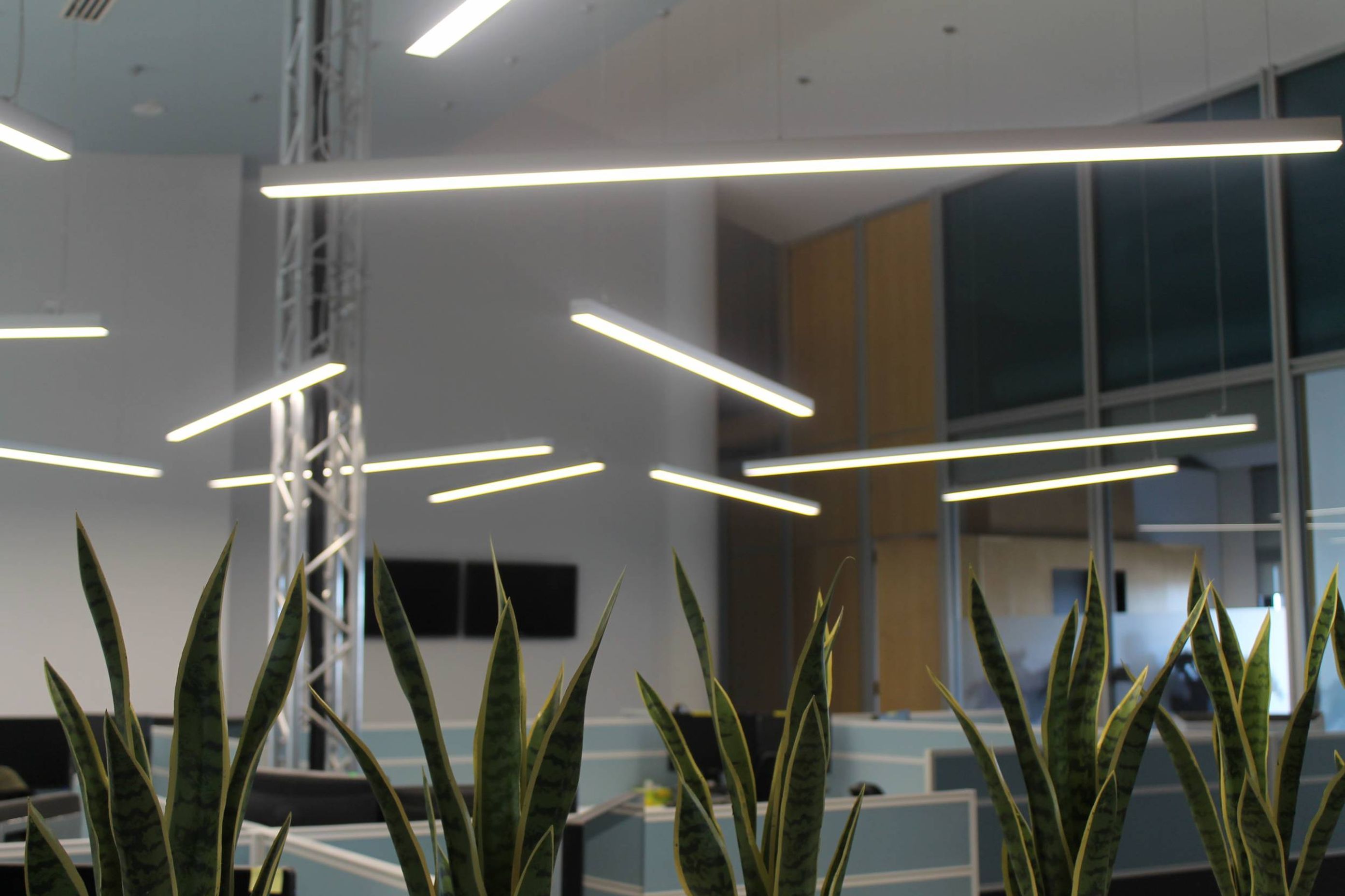 ##Pyrmont St Office