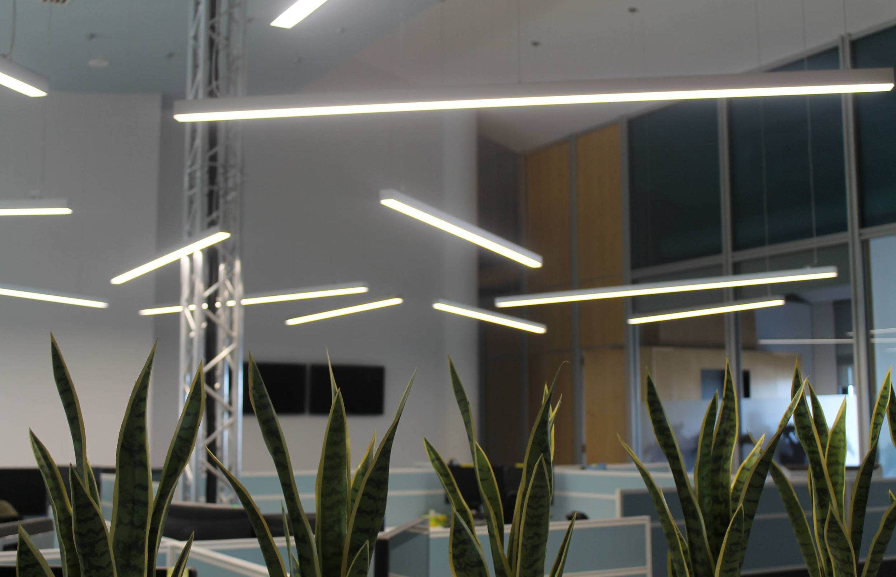 ##Pyrmont St Office
