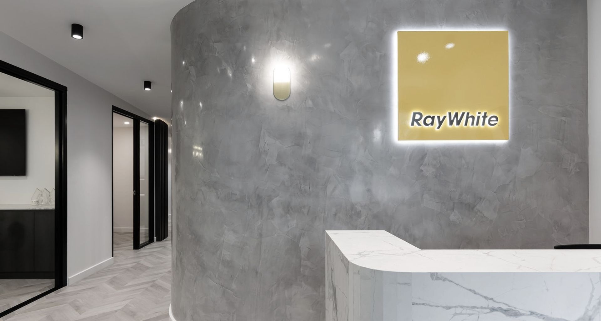P R O J E C T  ||          R A Y   W H I T E   ||  D G banner