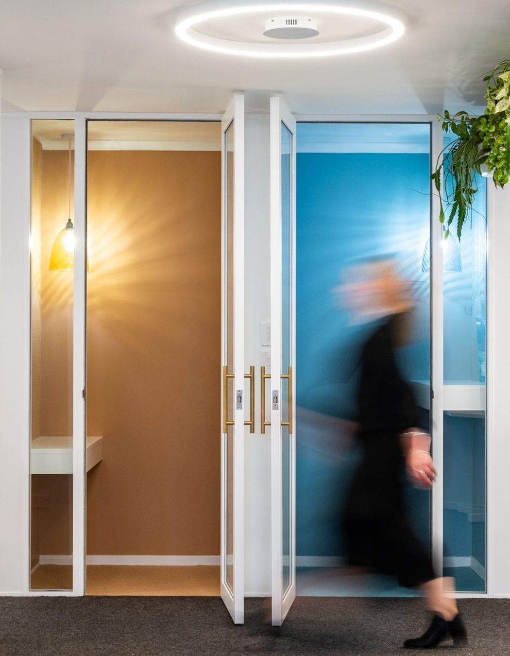 Ray White Papamoa Office Fitout