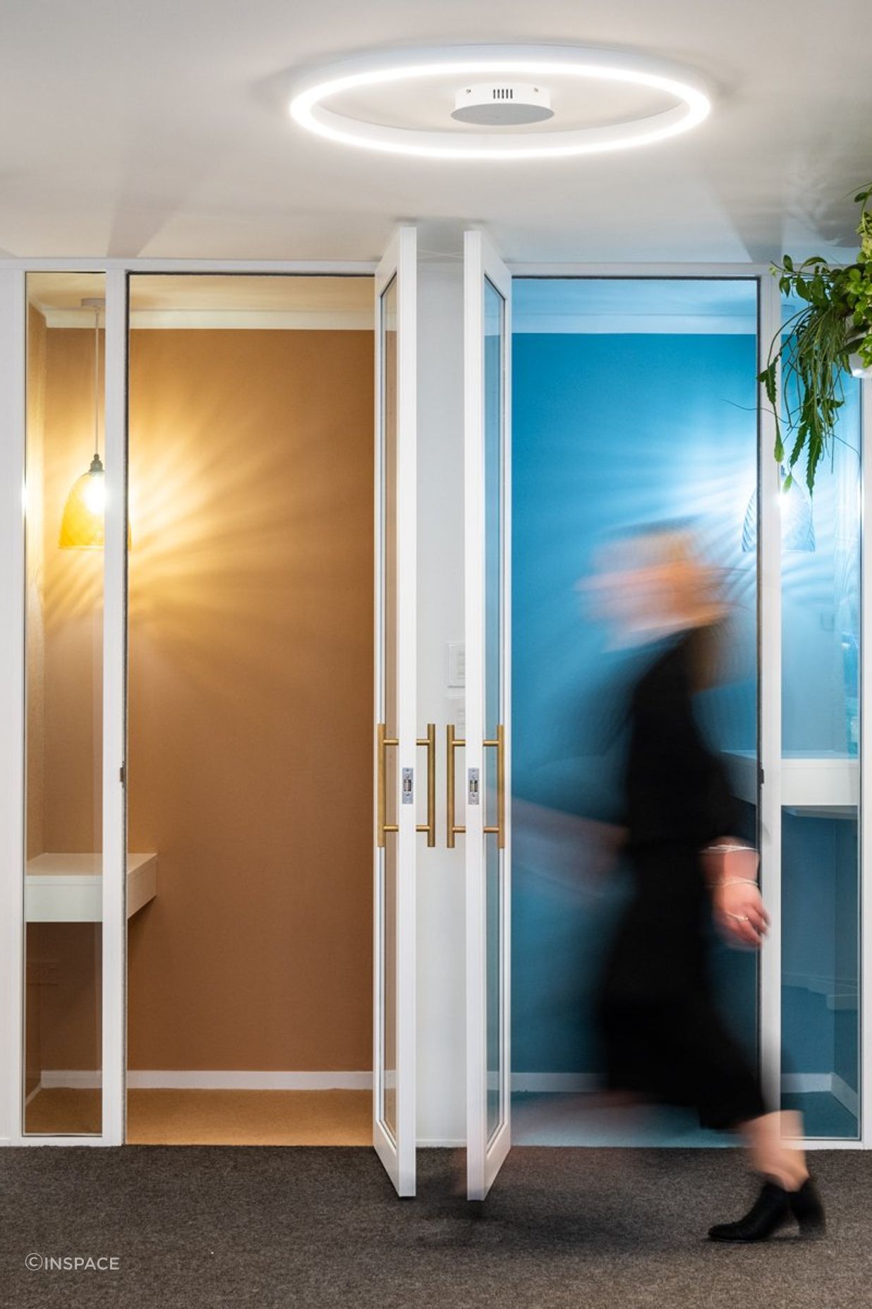 Ray White Papamoa Office Fitout