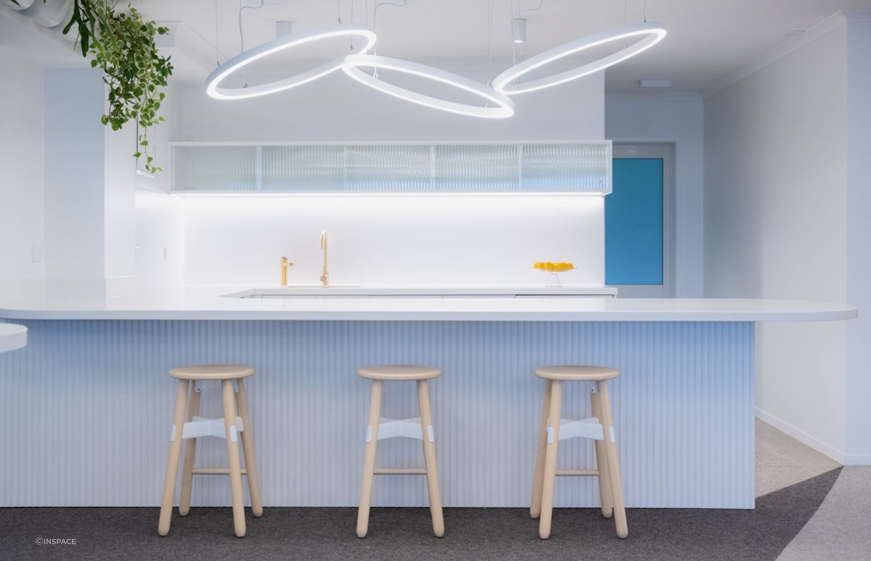 Ray White Papamoa Office Fitout