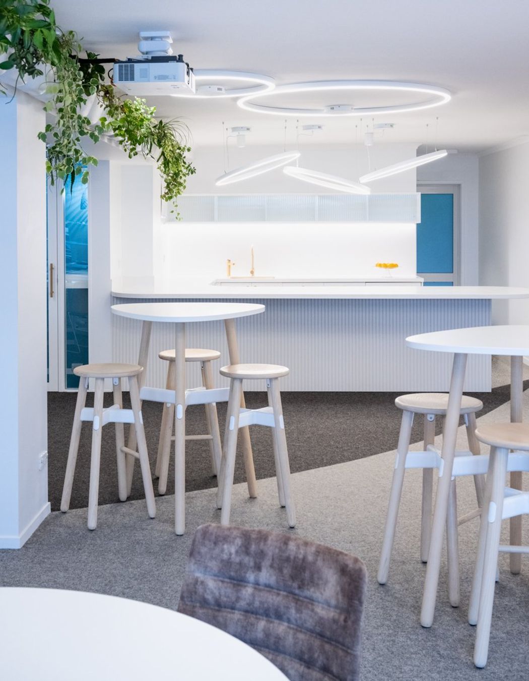 Ray White Papamoa Office Fitout