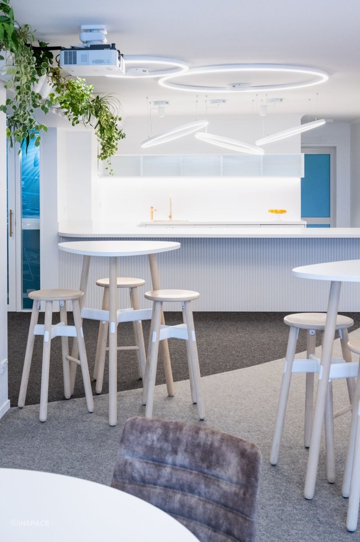 Ray White Papamoa Office Fitout