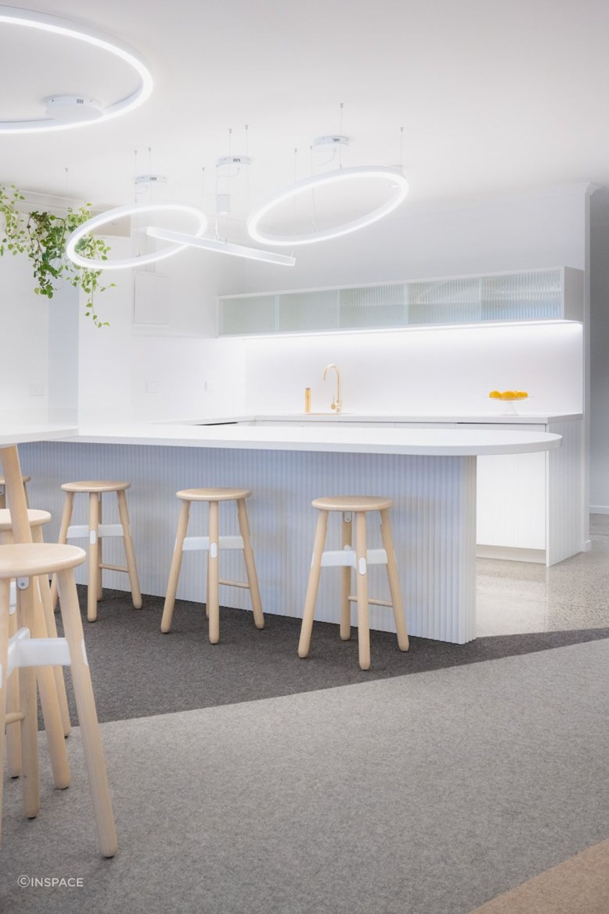 Ray White Papamoa Office Fitout