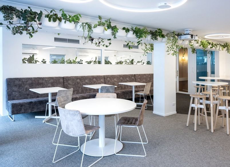 Ray White Papamoa Office Fitout