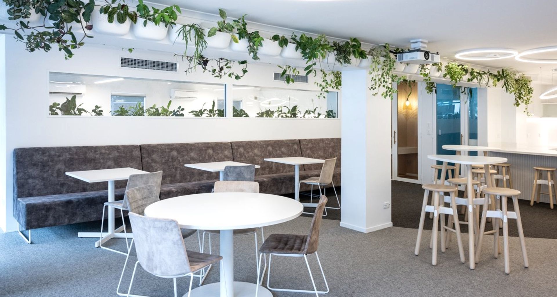 Ray White Papamoa Office Fitout banner