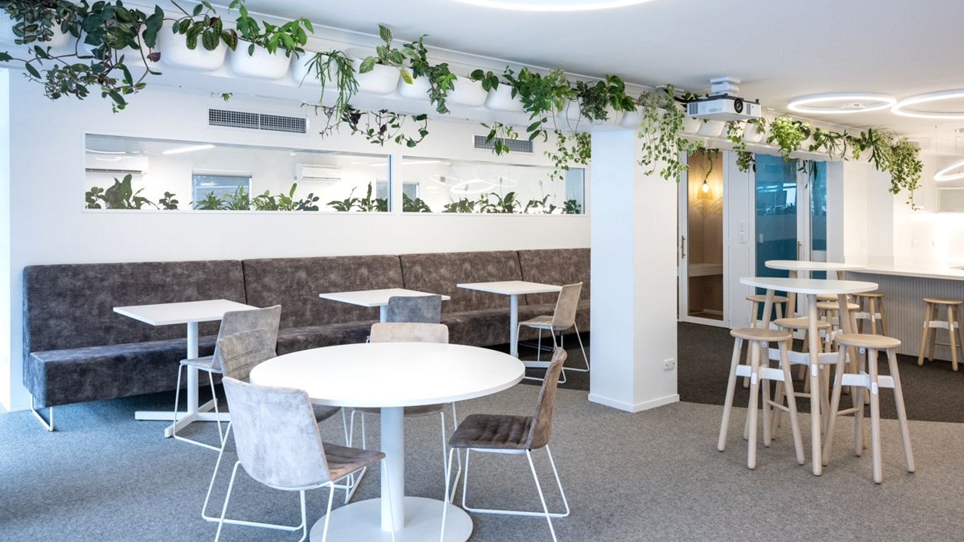 Ray White Papamoa Office Fitout banner