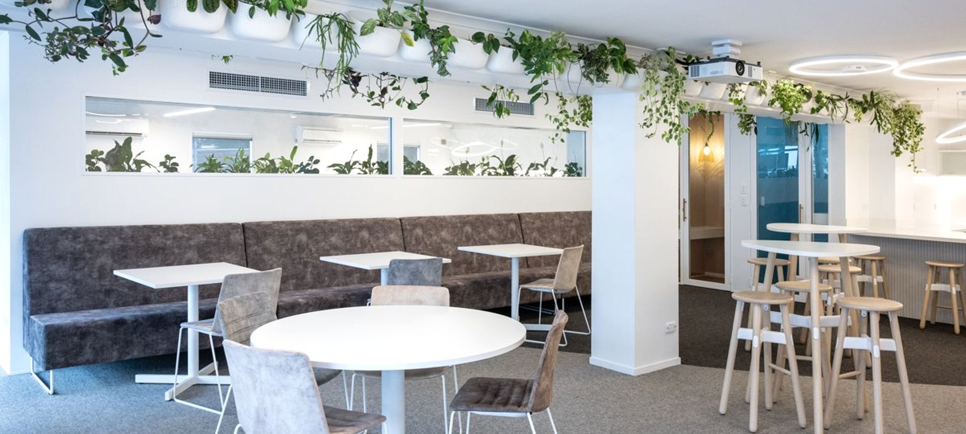 Ray White Papamoa Office Fitout banner