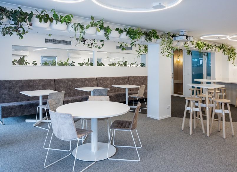 Ray White Papamoa Office Fitout