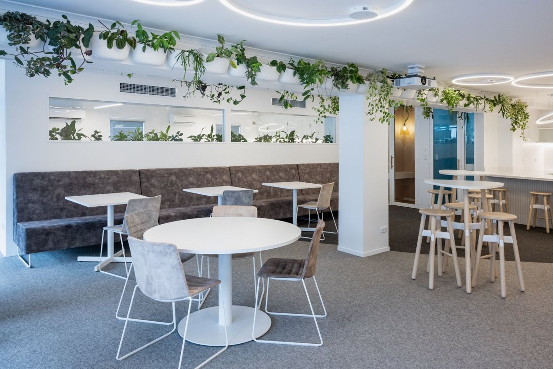 Ray White Papamoa Office Fitout
