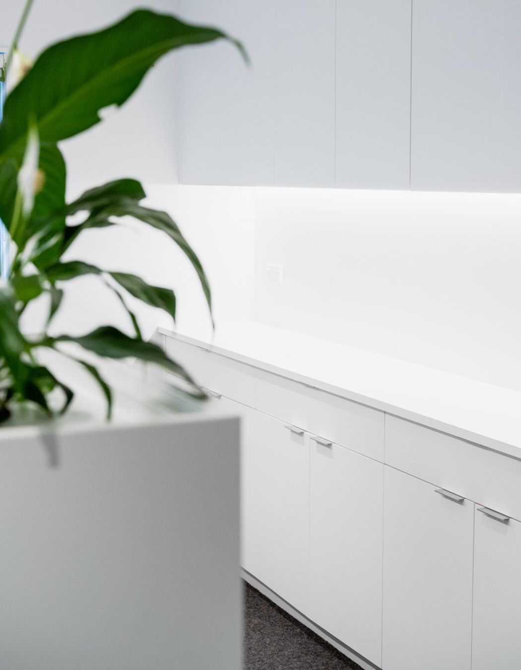 Ray White Papamoa Office Fitout