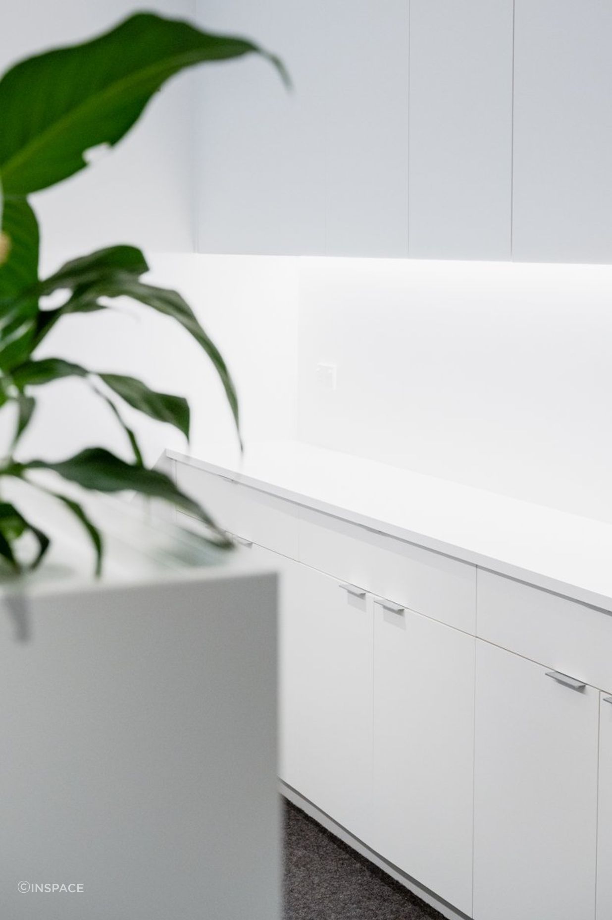 Ray White Papamoa Office Fitout