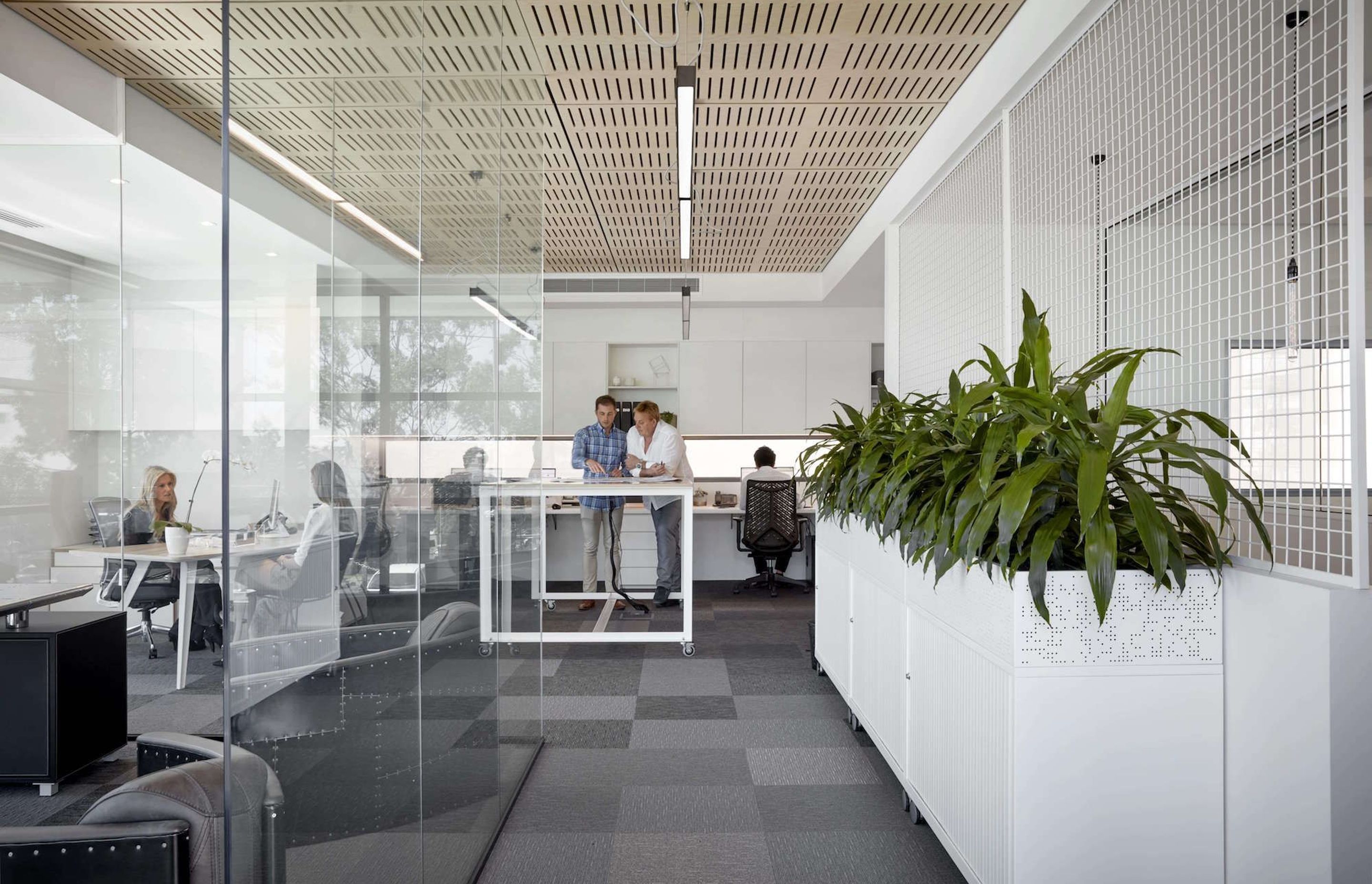 Seidler Group Office