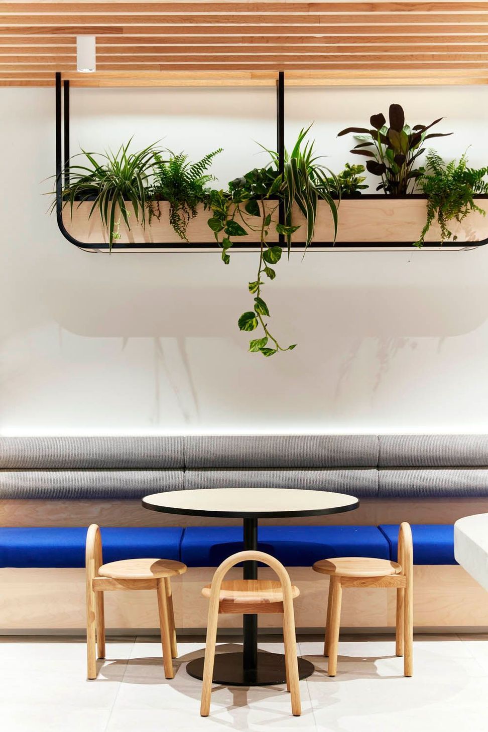 Shape Sydney