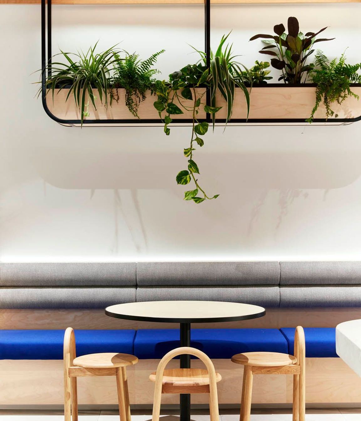Shape Sydney