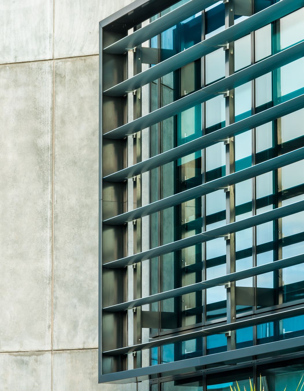 Show Place Christchurch