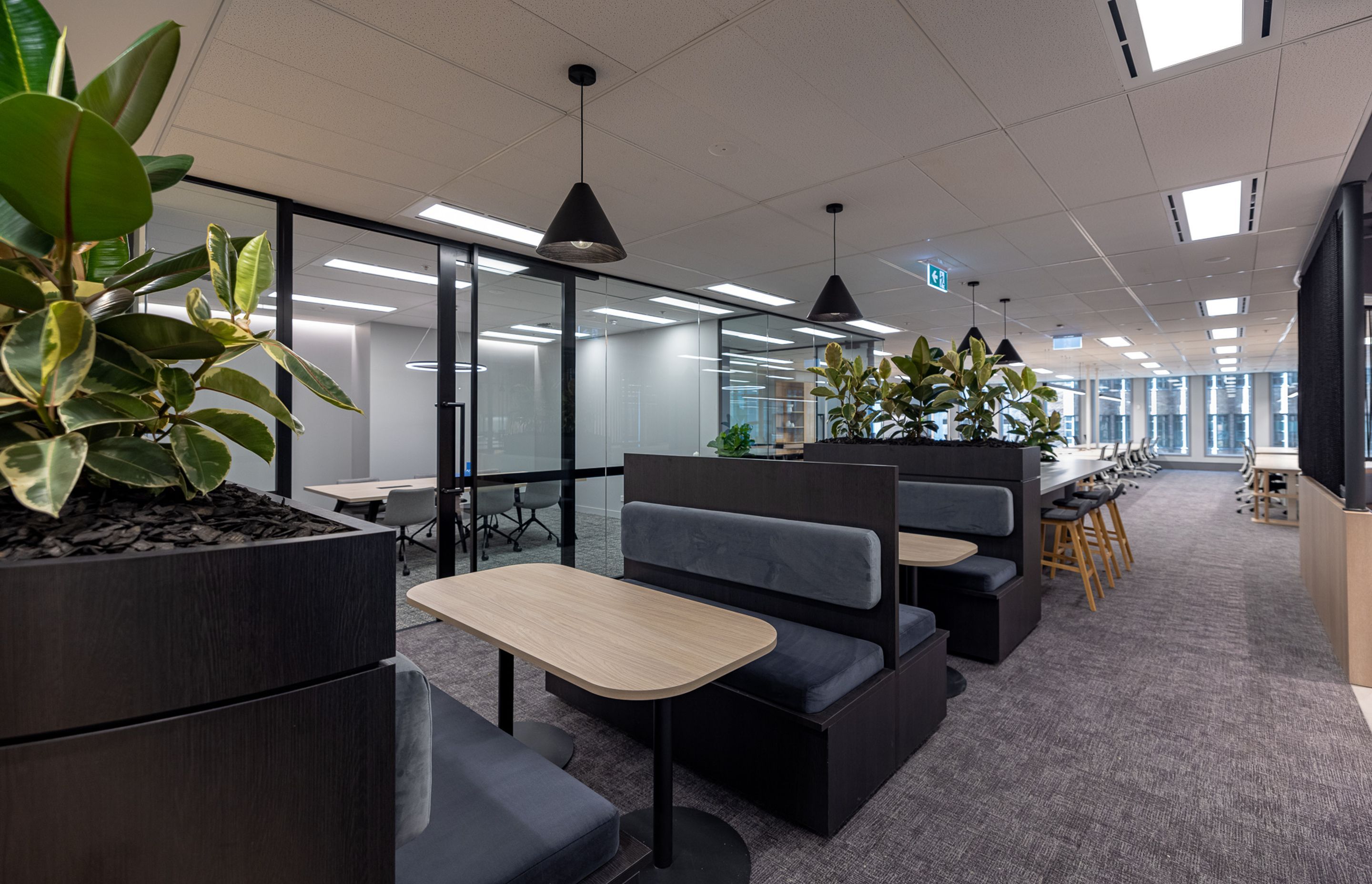 Suite 5.01 Angel Place