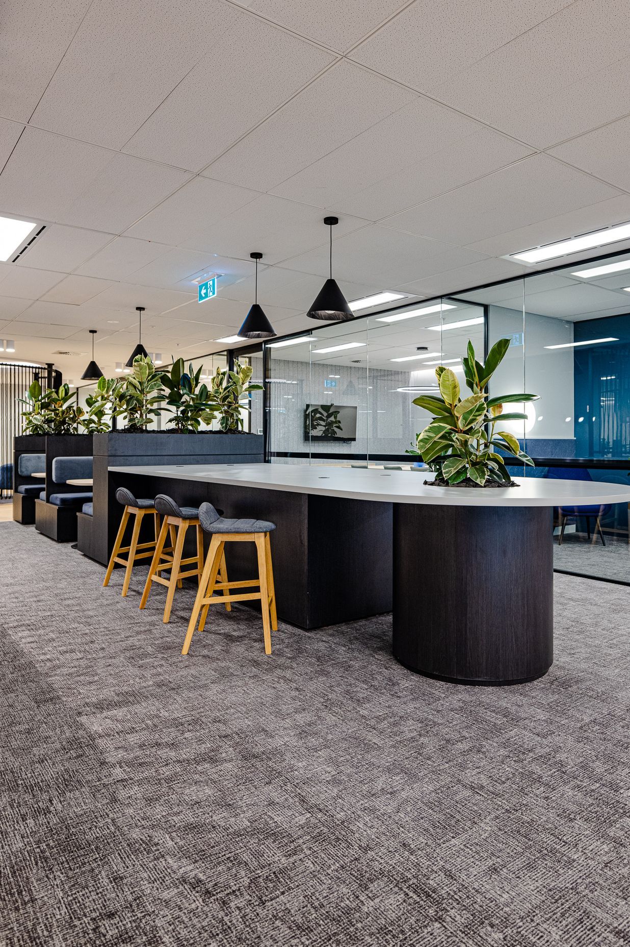 Suite 5.01 Angel Place