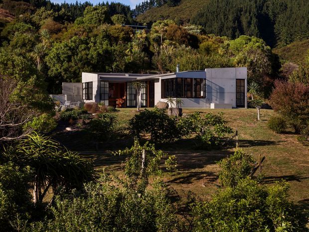 A low, single-storey modern house set within a densely planted, hilly landscape. The building has a rectilinear composition with pale concrete or rendered walls, dark-framed glazing, flat roof sections, and recessed outdoor or entry areas. Native and subtropical planting surrounds the home, with strong afternoon shadows across the garden.