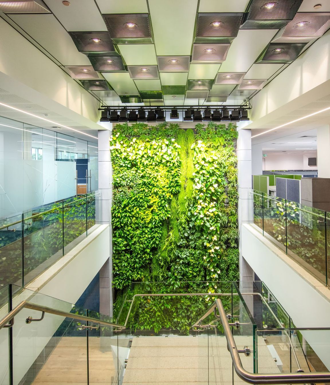 Thomas Foods International Fit out