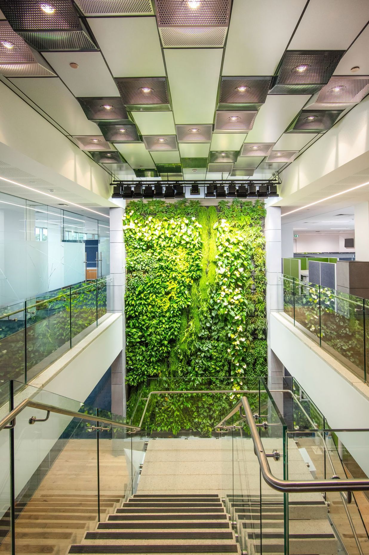 Thomas Foods International Fit out
