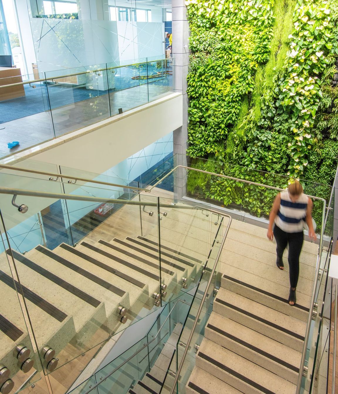 Thomas Foods International Fit out