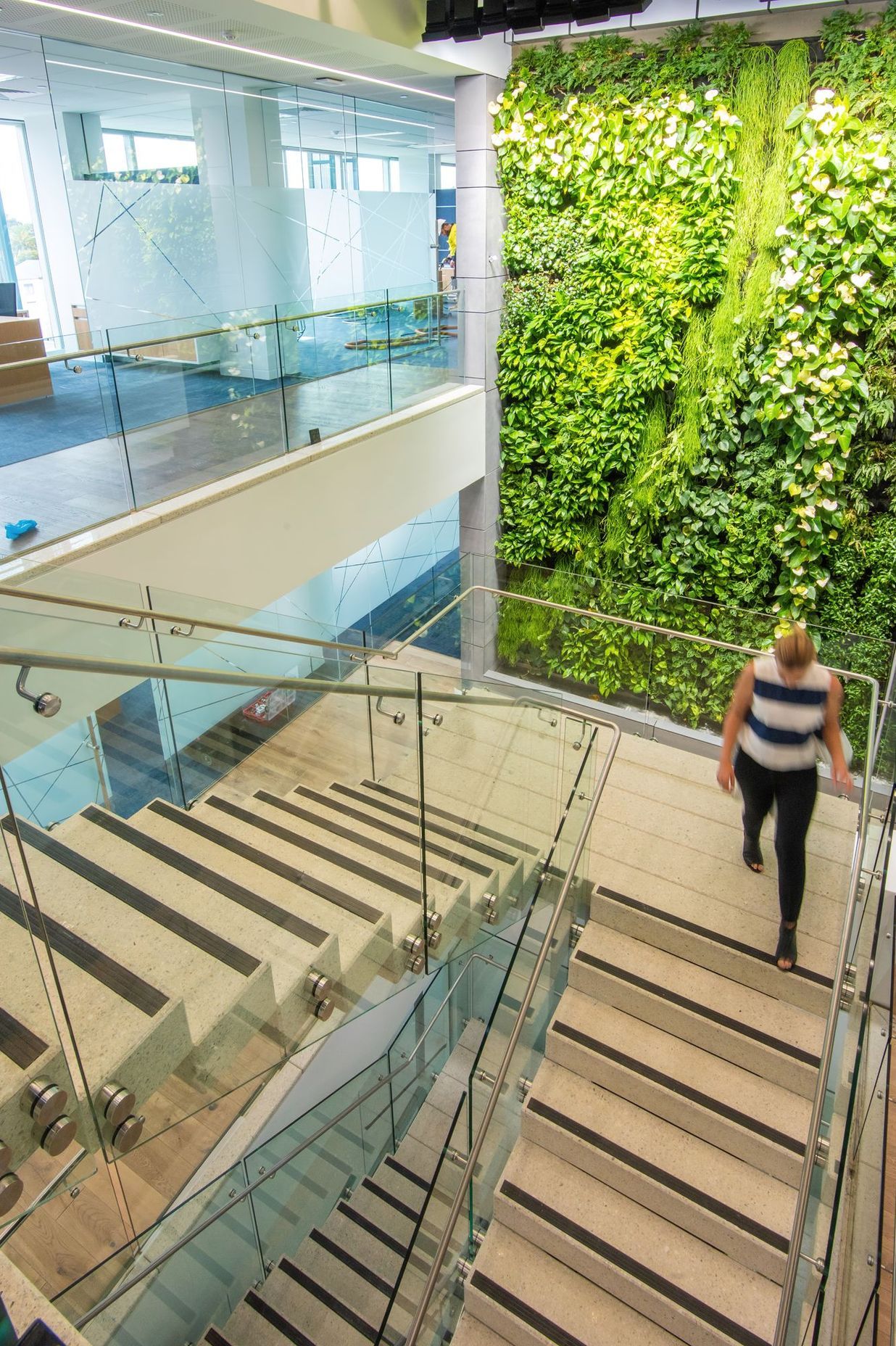 Thomas Foods International Fit out