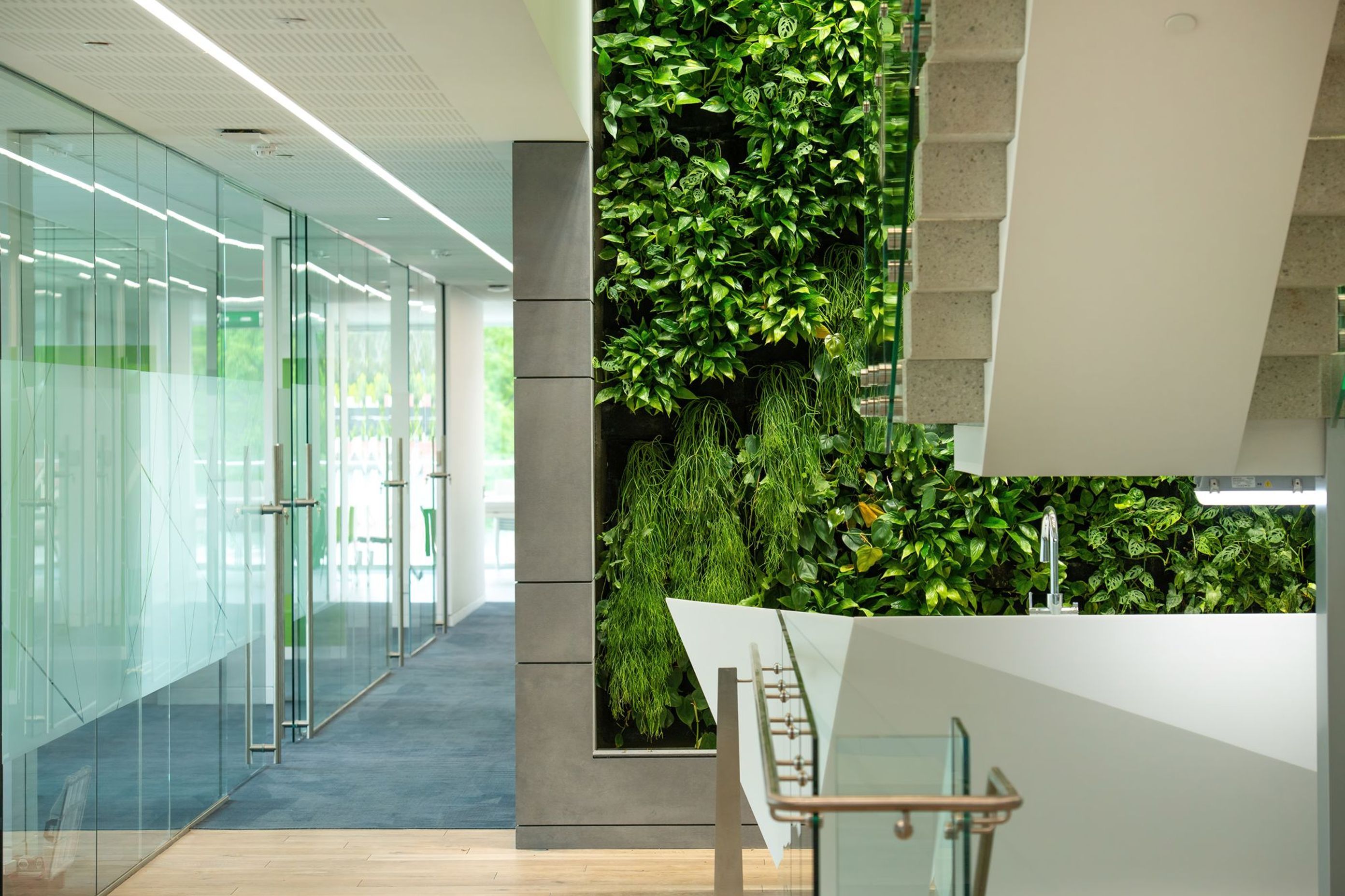 Thomas Foods International Fit out