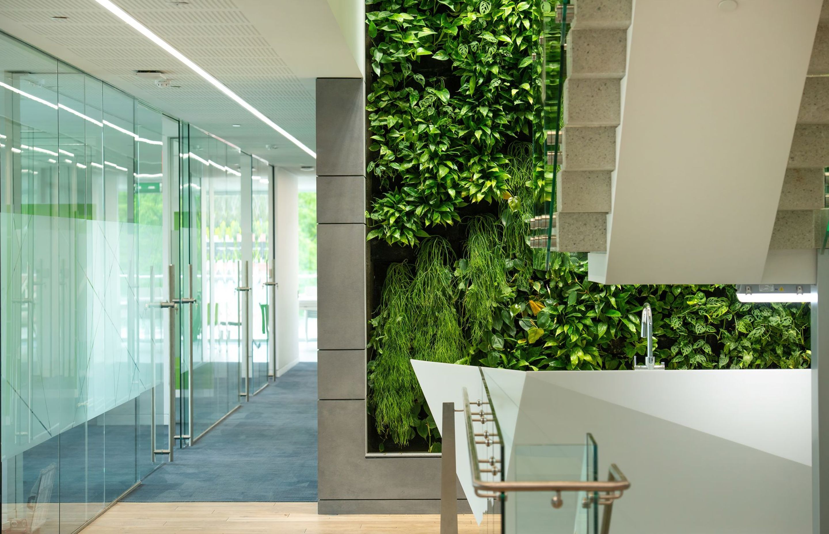 Thomas Foods International Fit out