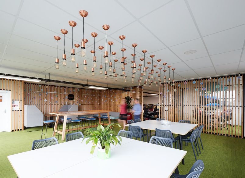 Tui Medical, Head Office