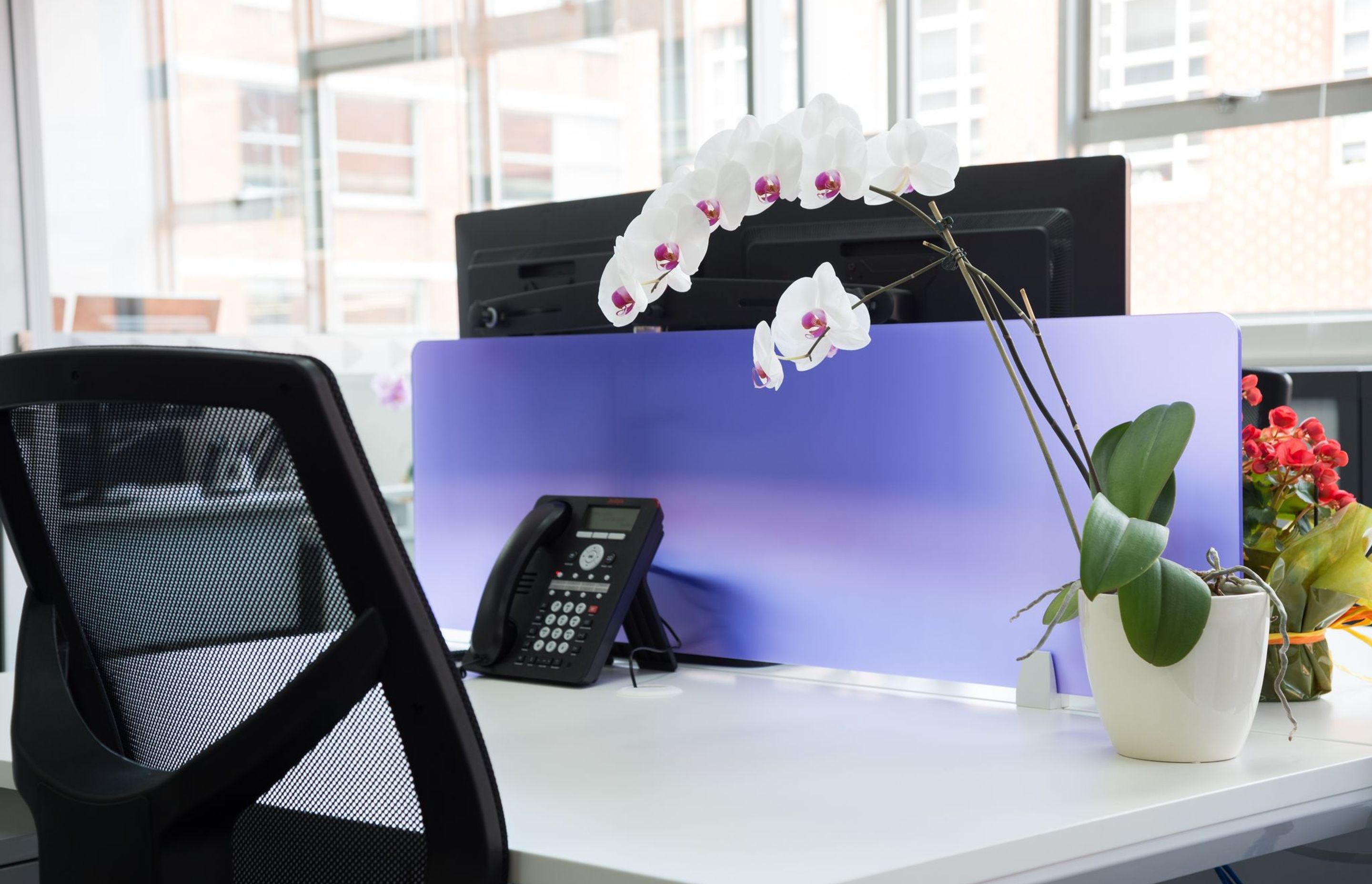 Surry Hills Office