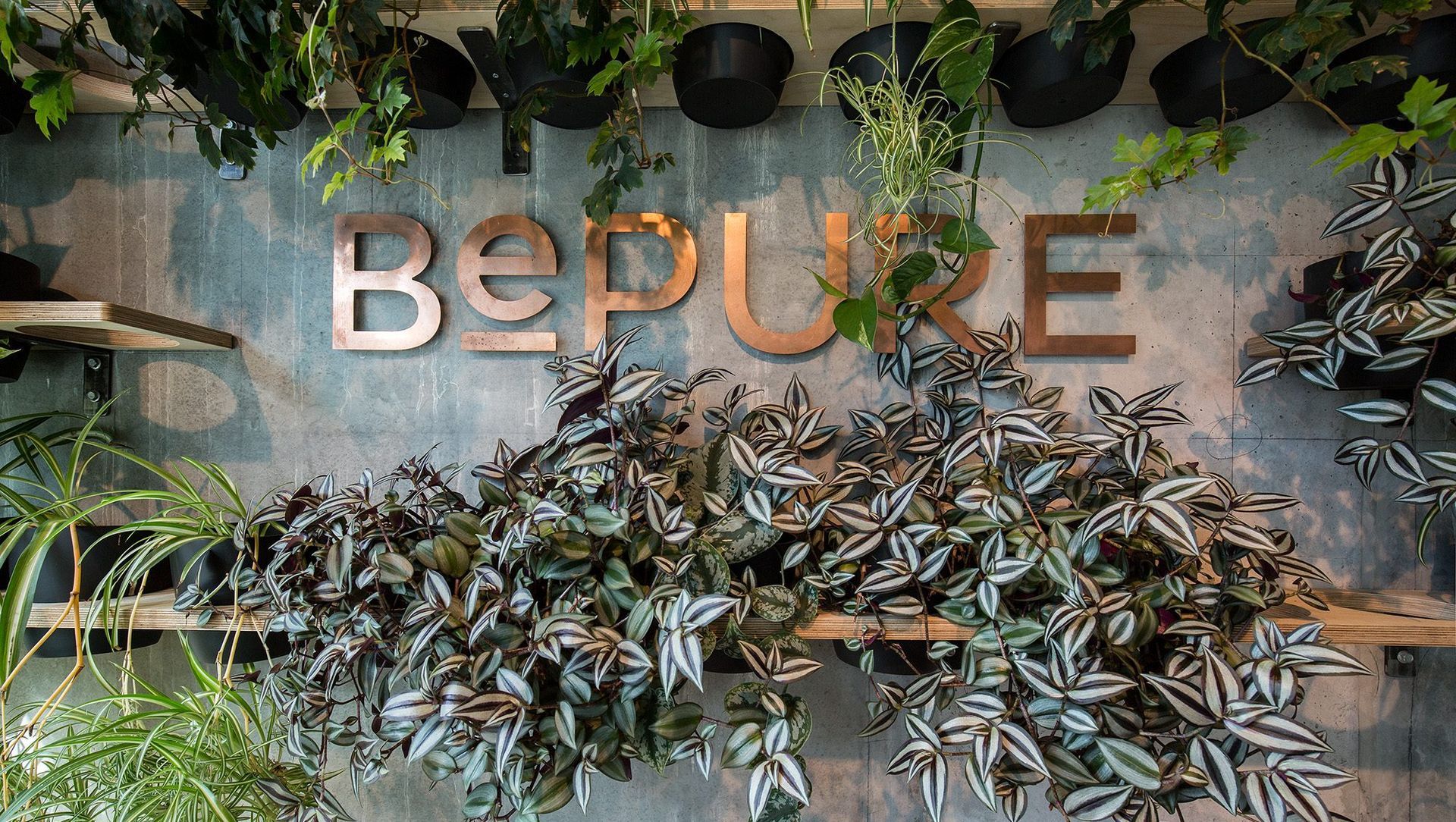 Be Pure Clinic Office banner