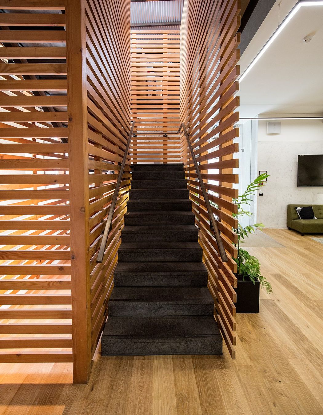 Universal Music, Auckland