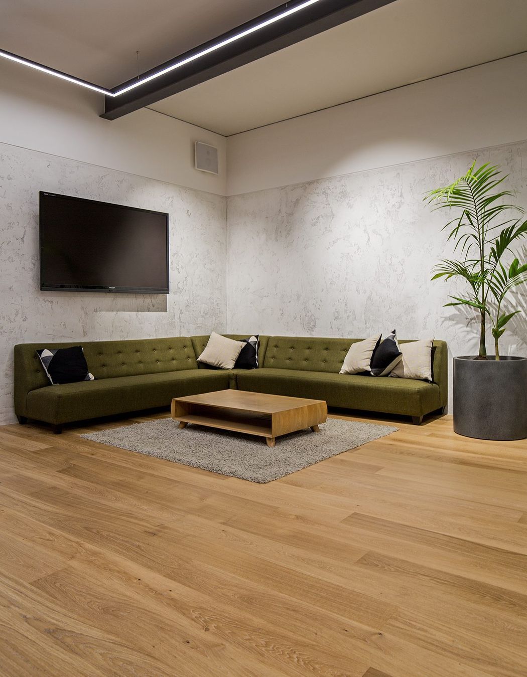 Universal Music, Auckland