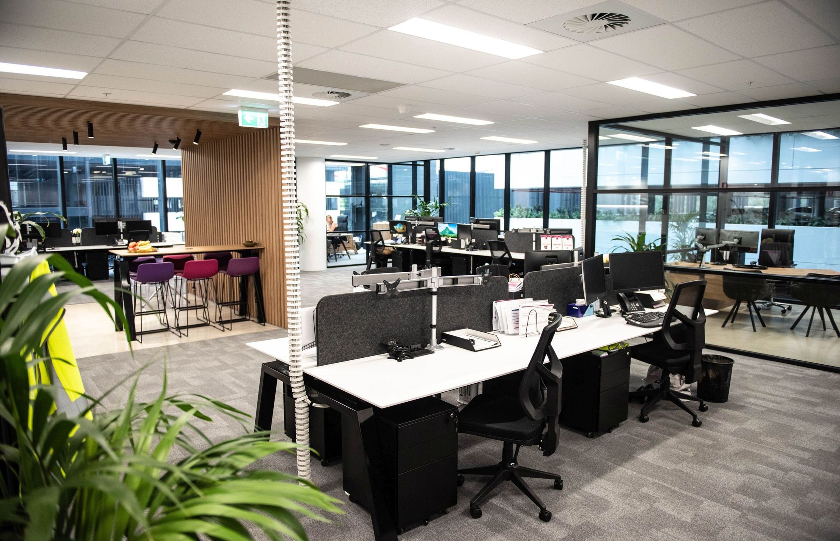 Mascot Office