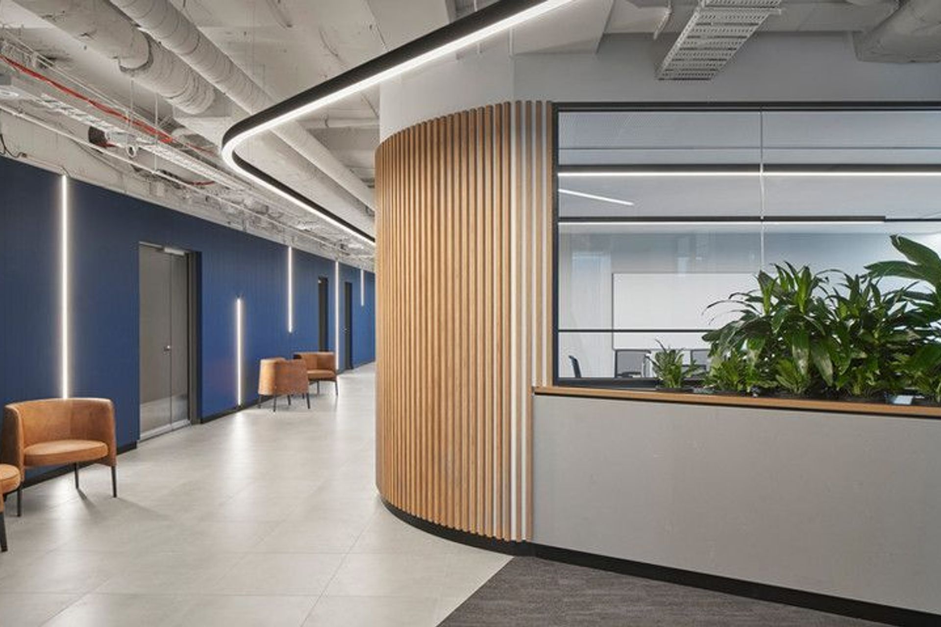 Photography: Shannon McGrath