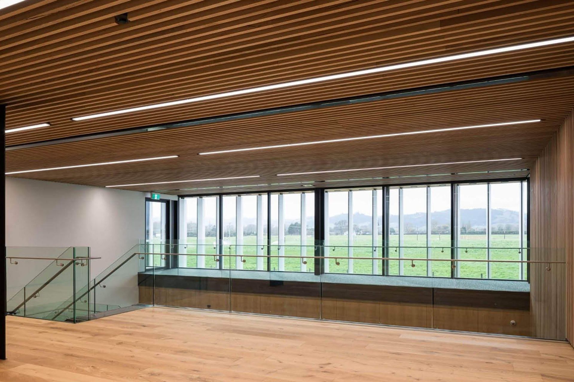 apl-office-timber-battens10.jpg