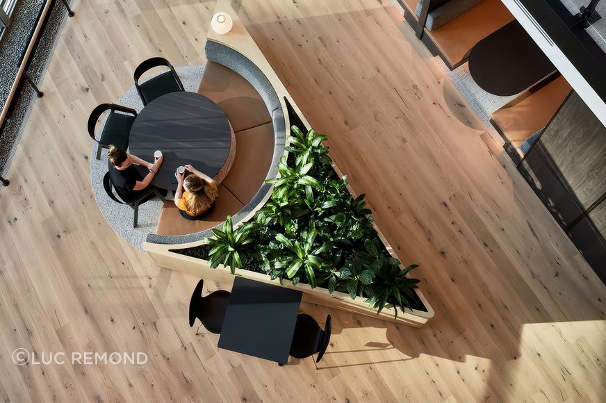 archipro-projectauhw2214clermontqbeofficesyd1.jpeg