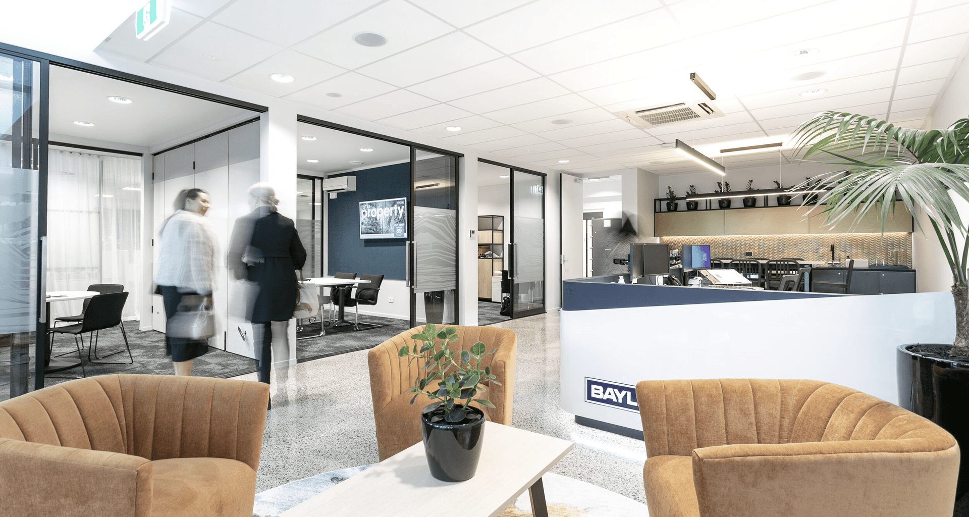 Bayley's | Mt Maunganui banner