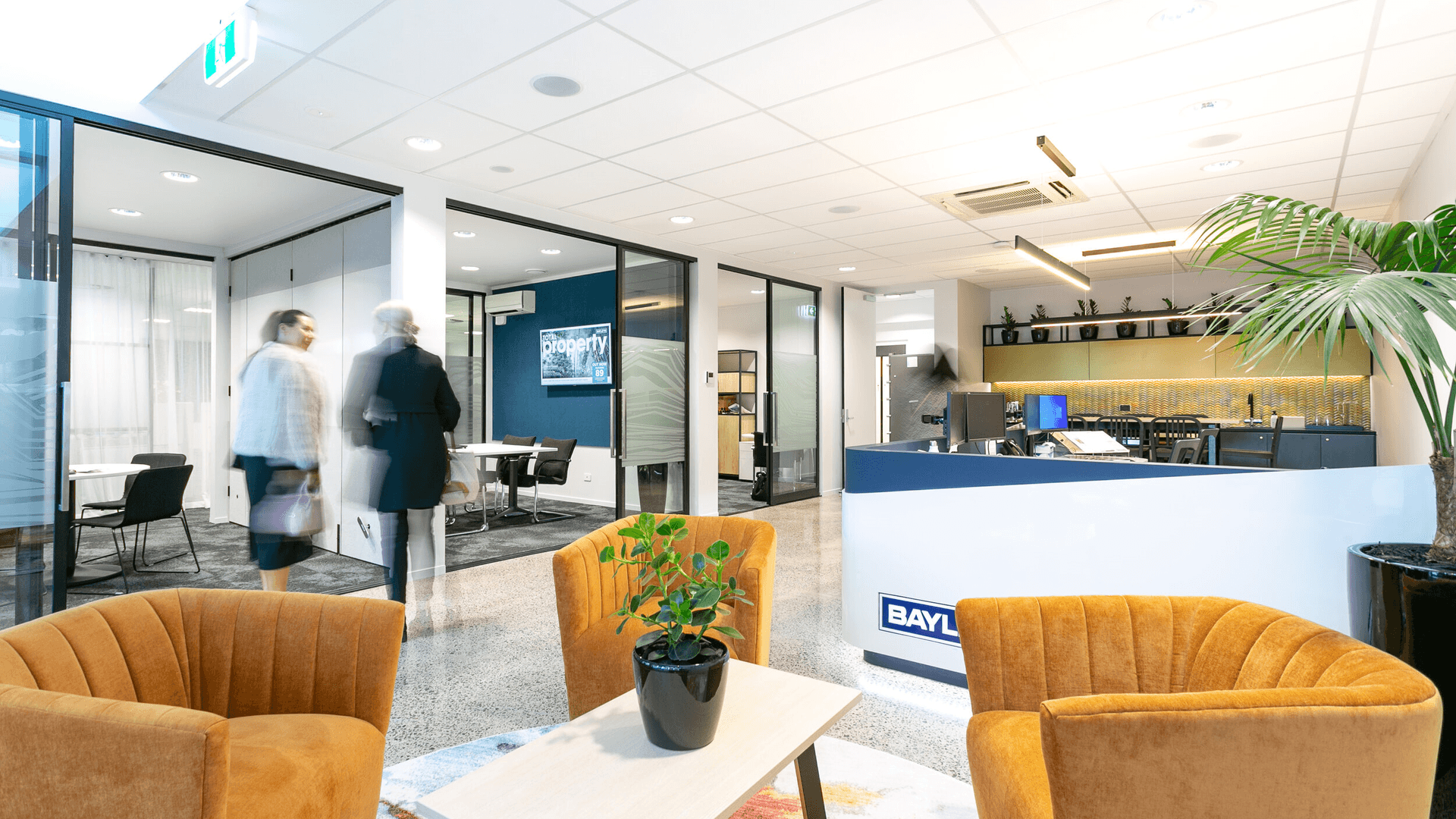 Bayley's | Mt Maunganui banner