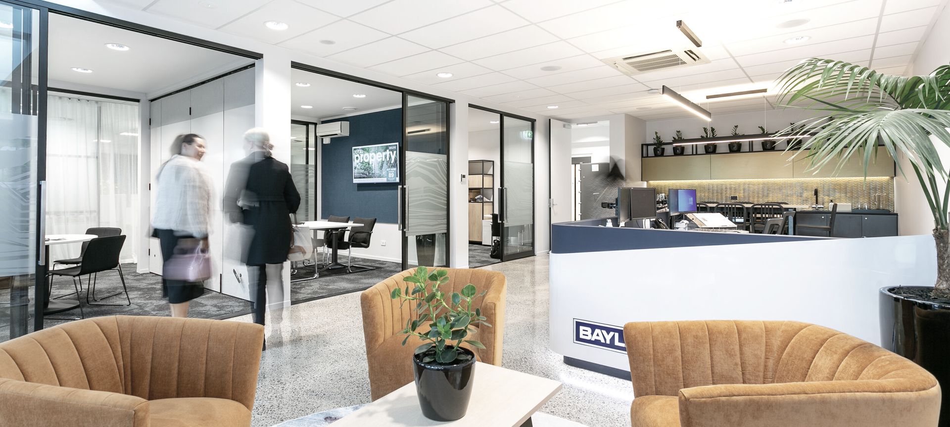 Bayley's | Mt Maunganui banner
