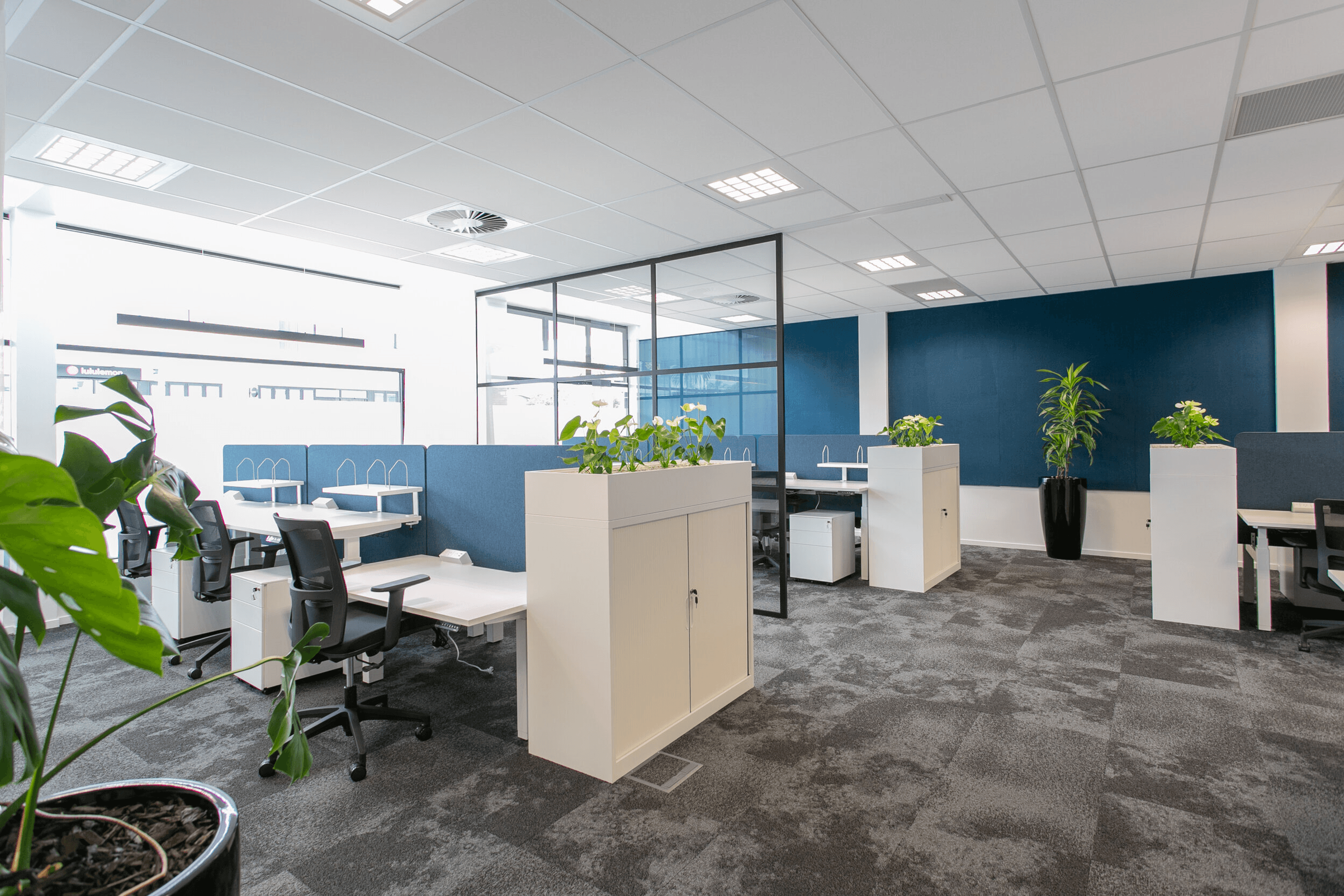 Bayley's | Mt Maunganui